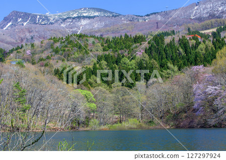 藏王杉之谷沼的春天 127297924