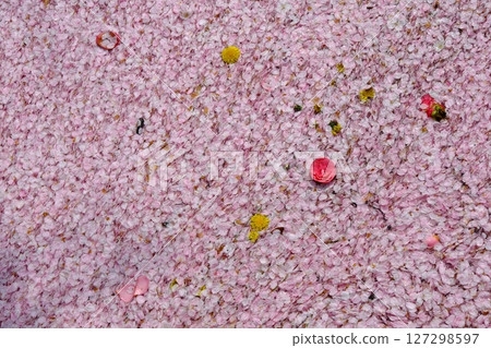 哲學之路的花筏背景素材 哲學之路的花筏背景素材 127298597