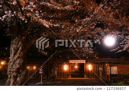 Illuminated lanterns and cherry blossoms Illuminated lanterns and cherry blossoms 127298857
