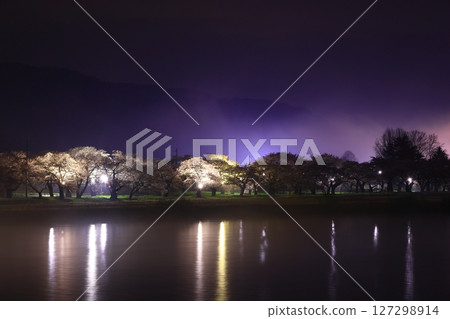 櫻花在晚上 櫻花在晚上 127298914