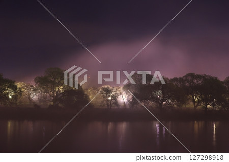 Cherry blossoms at night 127298918