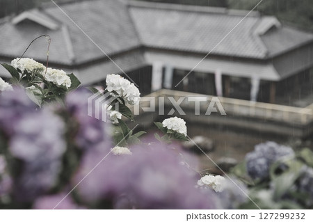 都城市繡球花公園 R7 都城市繡球花公園 R7 127299232