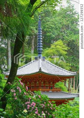 京都府岩船寺的三重塔與美國杜鵑花（豎構圖） 127299352