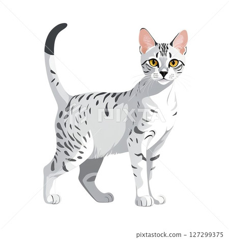Illustration of an Egyptian Mau cat staring intently 127299375