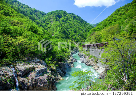 Fresh green of Shososu gorge Fresh green of Shososu gorge 127299391
