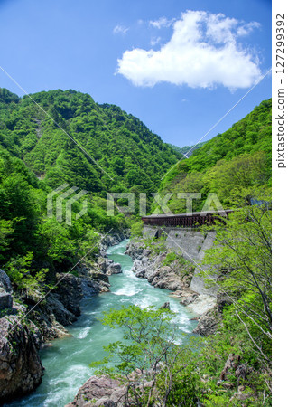 Fresh green of Shososu gorge Fresh green of Shososu gorge 127299392
