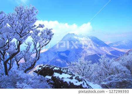 Mount Yufu (from the frost-covered summit of Mount Tsurumi) Mount Yufu (from the frost-covered summit of Mount Tsurumi) 127299393
