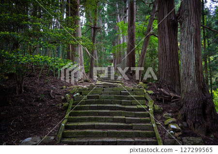 佐渡島：前往清水寺的路 127299565
