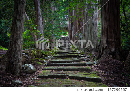Sado Island: The approach to Kiyomizu-dera Temple Sado Island: The approach to Kiyomizu-dera Temple 127299567