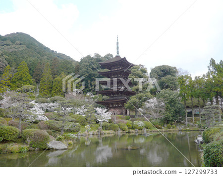 位於山口縣山口市加山町的曹洞禪寺,原名古關寺,後來從二穗小高野遷至琉璃光寺。 位於山口縣山口市加山町的曹洞禪寺,原名古關寺,後來從二穗小高野遷至琉璃光寺。 127299733