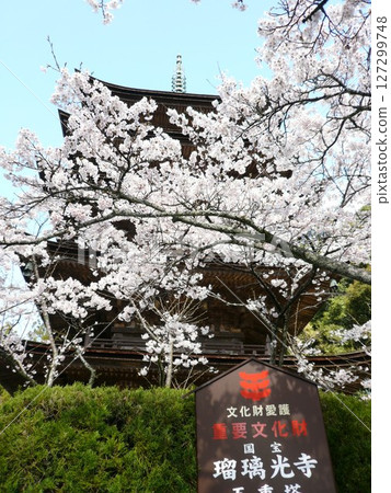 位於山口縣山口市加山町的曹洞禪寺,原名古關寺,後來從二穗小高野遷至琉璃光寺。 位於山口縣山口市加山町的曹洞禪寺,原名古關寺,後來從二穗小高野遷至琉璃光寺。 127299748