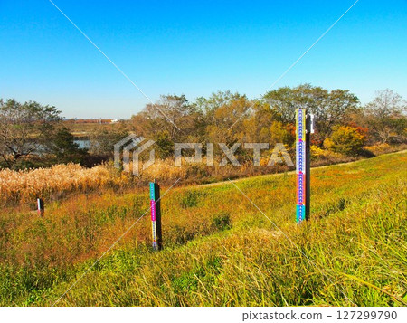Edogawa River bank scenery in late autumn with a water level gauge Edogawa River bank scenery in late autumn with a water level gauge 127299790
