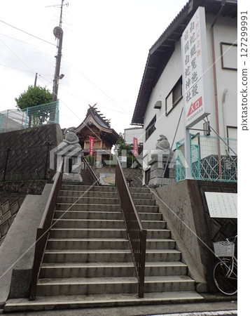 Located in Iwakuni City, Yamaguchi Prefecture, the White Snake Shrine enshrines a white snake, a natural monument, as a messenger of the deity, and is also home to the White Snake Museum. Located in Iwakuni City, Yamaguchi Prefecture, the White Snake Shrine enshrines a white snake, a natural monument, as a messenger of the deity, and is also home to the White Snake Museum. 127299991