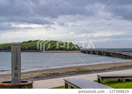 Aoshima on a cloudy day Aoshima on a cloudy day 127300629