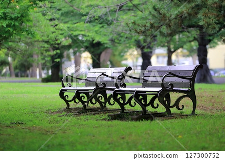 Park bench image Park bench image 127300752
