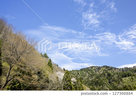 Spring, April scenery of the Keihoku mountains - 3 127300884