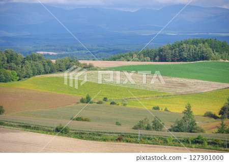 Kamifurano Town, Hokkaido: Rural scenery seen from the roller coaster road 127301000