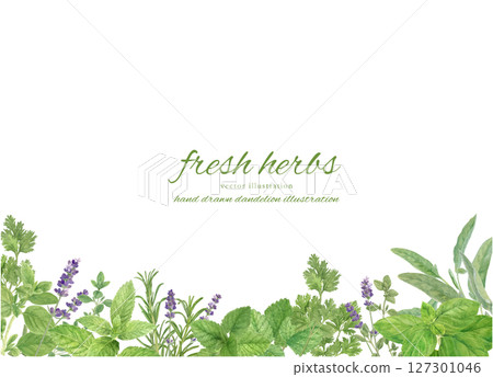 Frame background material decorated with watercolor herbs 127301046