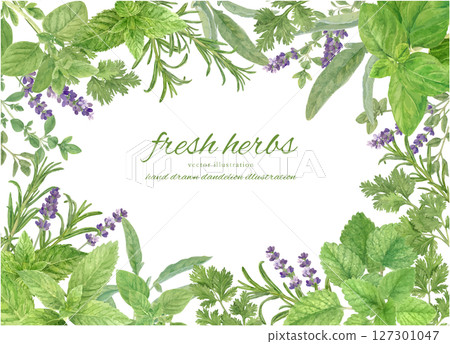 Frame background material decorated with watercolor herbs 127301047