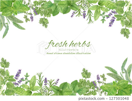 用水彩草本裝飾的框架背景材料 用水彩草本裝飾的框架背景材料 127301048