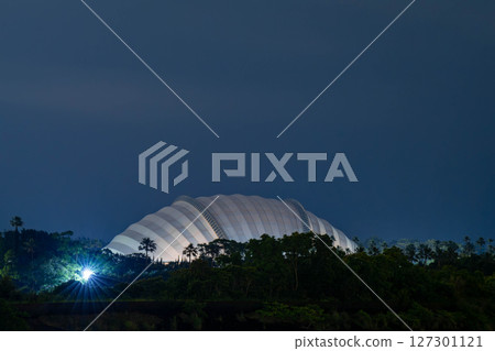 Hinata Tree Flower Dome at Night Hinata Tree Flower Dome at Night 127301121