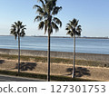 Sea viewed from the coast Sea viewed from the coast 127301753