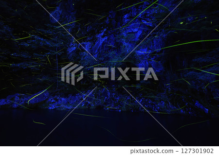 螢火蟲在河上飛舞 127301902