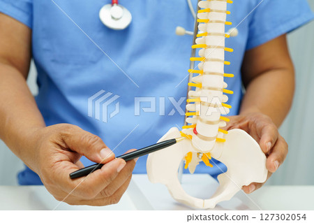 Asian doctor holding spinal nerve and bone model, Lumbar spine displaced herniated disc fragment for treatment medical in the orthopedic department. Asian doctor holding spinal nerve and bone model, Lumbar spine displaced herniated disc fragment for treatment medical in the orthopedic department. 127302054
