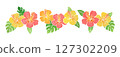 芙蓉花 127302209