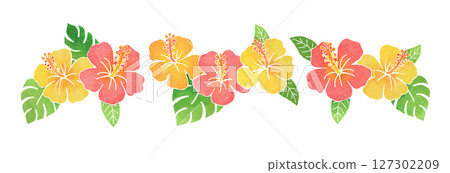 Hibiscus flowers 127302209