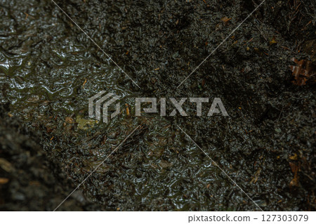 Texture background of muddy soil after rain, Midori City, Gunma Prefecture 127303079