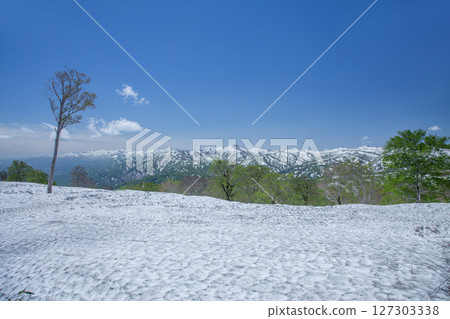殘雪的山脈 殘雪的山脈 127303338