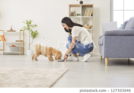 Woman Feeding Dog From Bowl At Home 127303846