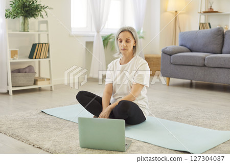 Elderly Woman Participating in Online Workout Using Laptop at Home Elderly Woman Participating in Online Workout Using Laptop at Home 127304087