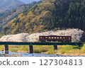 若狹鐵道穿過一座鐵橋，背景是盛開的櫻花 127304813