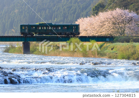 春天的早晨，融水充沛，一列當地的火車穿過一座鐵橋，橋背景是盛開的櫻花。 127304815