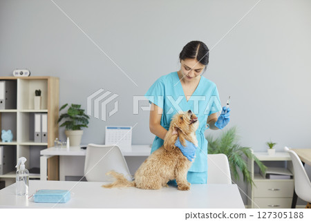 Young nurse or veterinarian holding syringe standing with a cute little sick dog in vet clinic. Young nurse or veterinarian holding syringe standing with a cute little sick dog in vet clinic. 127305188