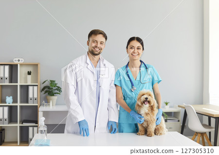Veterinary clinic doctor and nurse with puppy at desk, lovely animal cute pedigree dog 127305310
