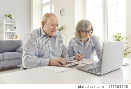 Elderly Couple Working Together At Home With Laptop 127305398