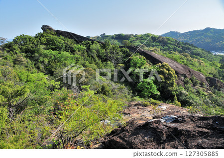 Hikiiwa Group [Tanabe City, Wakayama Prefecture] 127305885