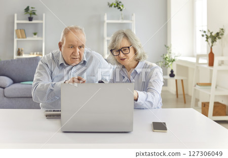Elderly Couple Working Together on Laptop at Home 127306049