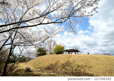 Yuriyama (First Peak) [Kinokawa City, Wakayama Prefecture] 127306392