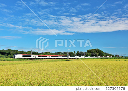 秋天的藍天、稻田和成田特快 127306676