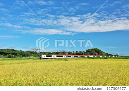 秋天的藍天、稻田和成田特快 127306677