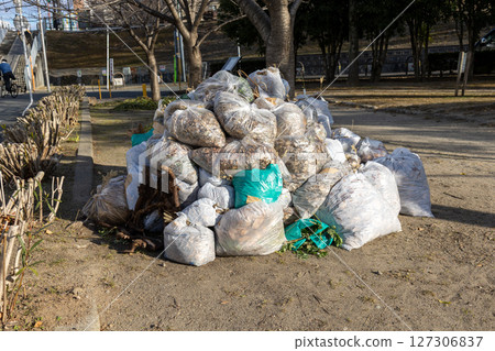 Garbage bag filled with fallen leaves from the park Garbage bag filled with fallen leaves from the park 127306837