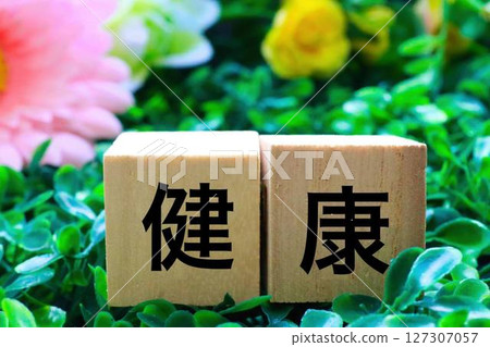 Wooden blocks with the word health written on them 127307057