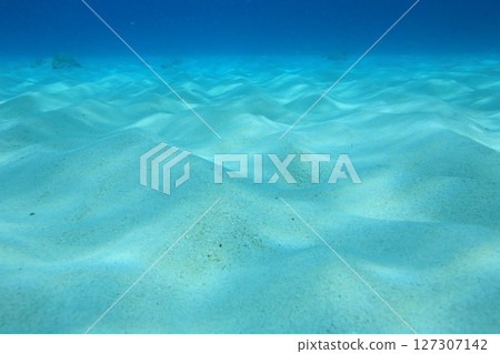 Underwater photo of sand Underwater photo of sand 127307142