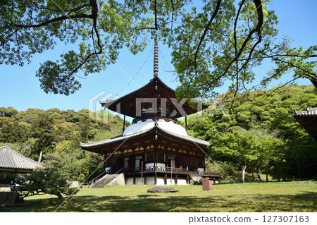 Negoro-ji Temple (Tahoto Pagoda) [Iwade City, Wakayama Prefecture] 127307163