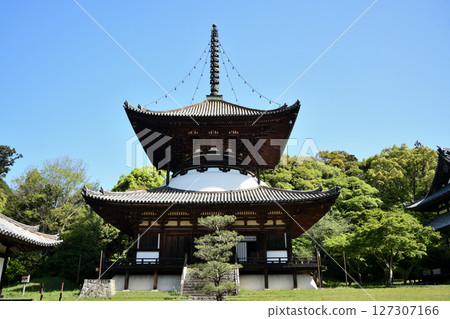 根歸寺（多寶塔）[和歌山縣岩出市] 127307166