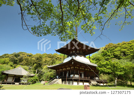 Negoro-ji Temple (Tahoto Pagoda) [Iwade City, Wakayama Prefecture] 127307175